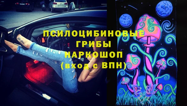 марки lsd Гусиноозёрск