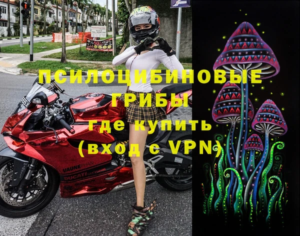 дмт Осташков