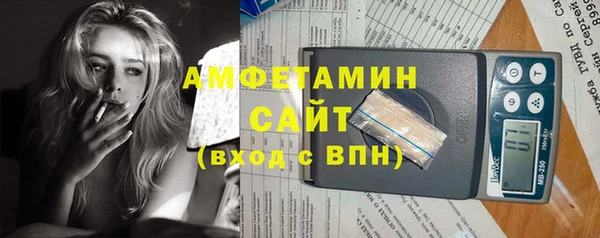 амф Кадников