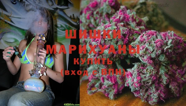 бошки Осинники