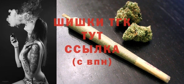 дмт Осташков