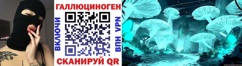 Псилоцибиновые грибы Psilocybine cubensis Кимры