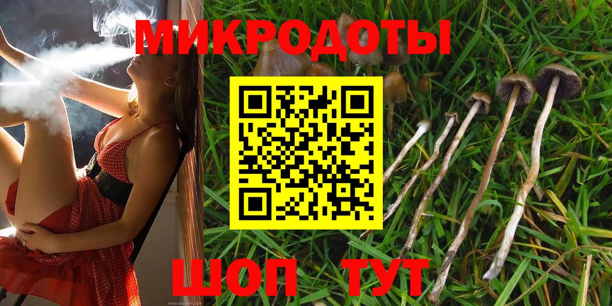 Галлюциногенные грибы Magic Shrooms Кимры