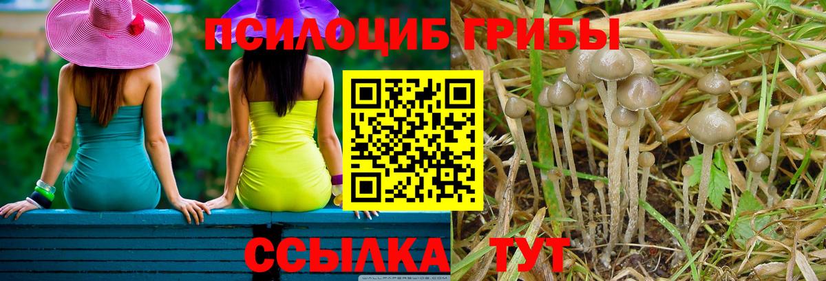 Галлюциногенные грибы MAGIC MUSHROOMS  Кимры 