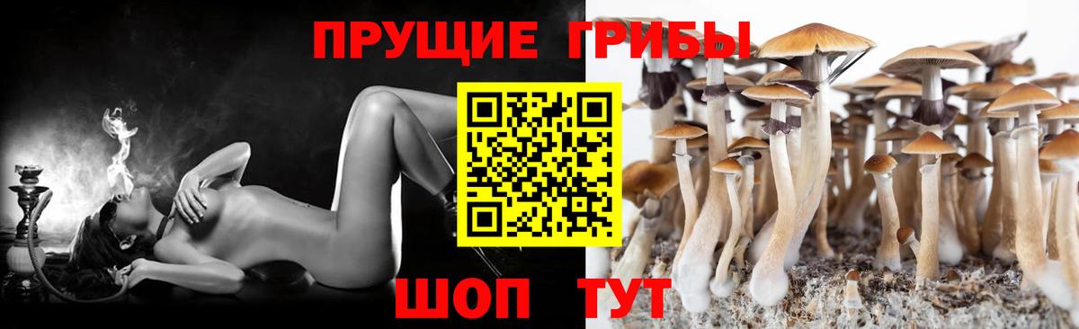 Кимры  Галлюциногенные грибы прущие грибы  Вход с VPN  Галлюциногенные грибы мухоморы 